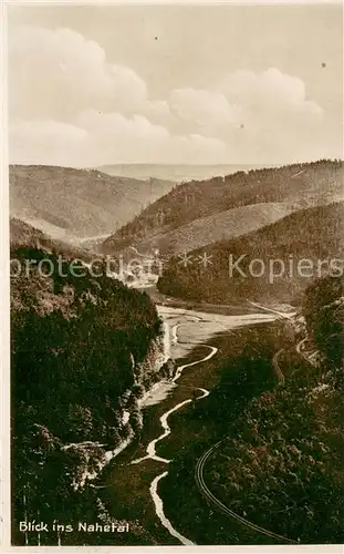 AK / Ansichtskarte Frauenwald_Thueringen Blick ins Nahetal Frauenwald Thueringen