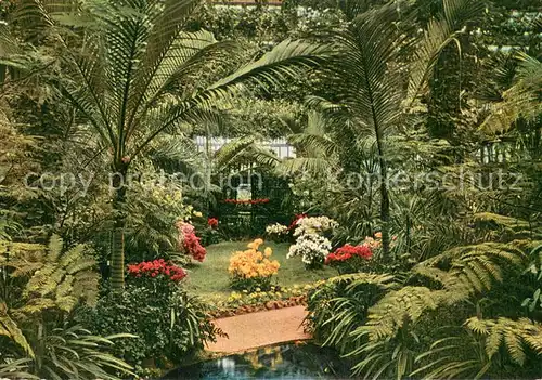 AK / Ansichtskarte Bad_Cannstatt Die Wilhelma Gewaechshaeuser Wintergarten Bad_Cannstatt