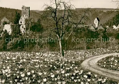 AK / Ansichtskarte Zavelstein Burgruine Zavelstein