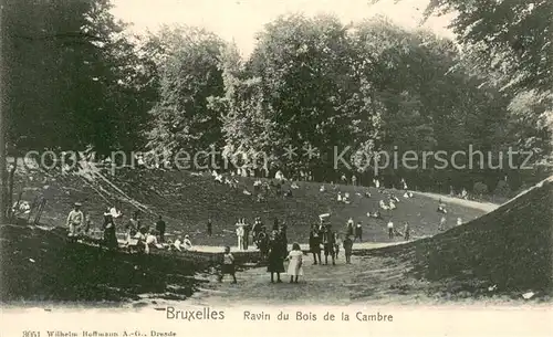 AK / Ansichtskarte Bruxelles_Bruessel Ravin du Bois de la Cambre Bruxelles_Bruessel