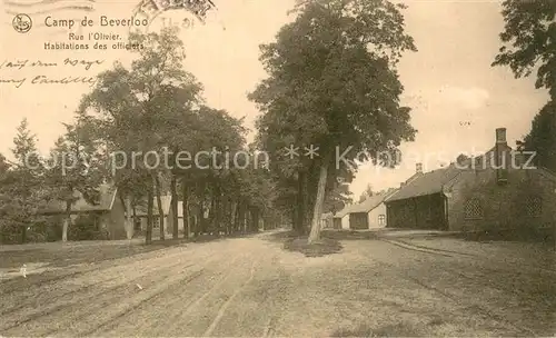 AK / Ansichtskarte Camp_de_Beverloo Rue lOlivier Habitations des officiers Camp_De_Beverloo