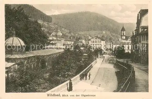 AK / Ansichtskarte Wildbad_Schwarzwald Blick von der Olgastrasse Wildbad_Schwarzwald
