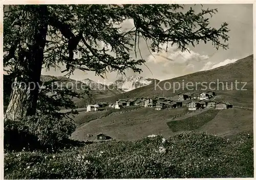 AK / Ansichtskarte Maedrigen_GR Panorama Blick gegen Weissfluh Plessuralpen 