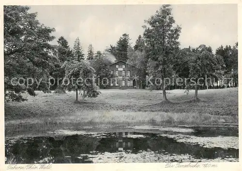 AK / Ansichtskarte Tabarz Die Tanzbuche Tabarz