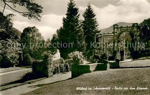 AK / Ansichtskarte Wildbad_Schwarzwald Partie aus dem Kurpark Wildbad_Schwarzwald