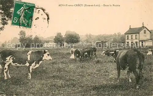 AK / Ansichtskarte Aunay sous Crecy Dans la Prairie Aunay sous Crecy