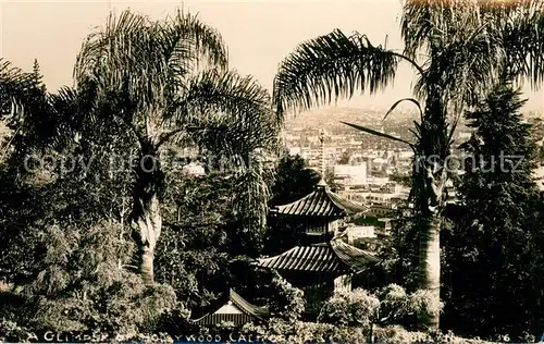 AK / Ansichtskarte Hollywood_California Panorama Hollywood California