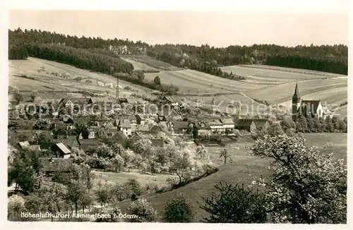 AK / Ansichtskarte Hammelbach Panorama Hammelbach