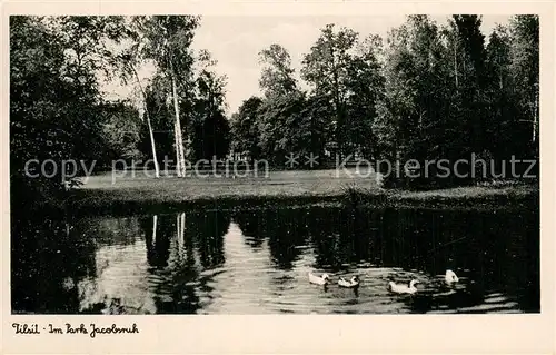 AK / Ansichtskarte Tilsit_Sowetsk_Oblast_Kaliningrad Im Park Jacobsruh 