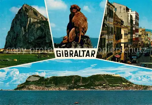 AK / Ansichtskarte Gibraltar Felsen Affe Ortsmotiv Panorama Gibraltar