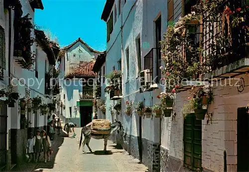 AK / Ansichtskarte Granada_Andalucia_ES Calle tipica 