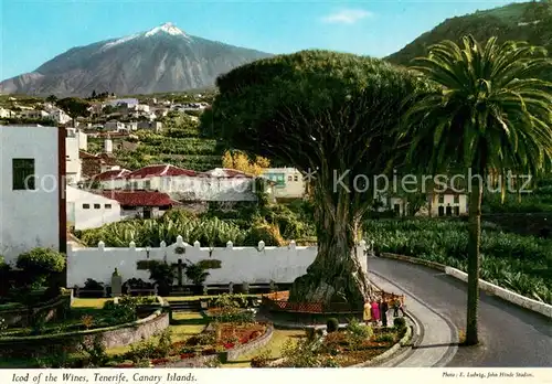AK / Ansichtskarte Tenerife_Islas_Canarias_Spanien_ES Icod of the Wines 