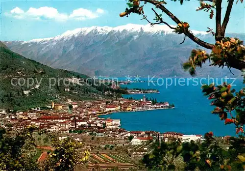 AK / Ansichtskarte Salo_Lago_di_Garda_IT Salo e Monte Baldo M. Seeansicht 