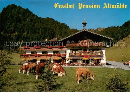 AK / Ansichtskarte Kirchdorf_Tirol_AT Gasthof Pension Altmuehle Aussenansicht m. Kuehen 