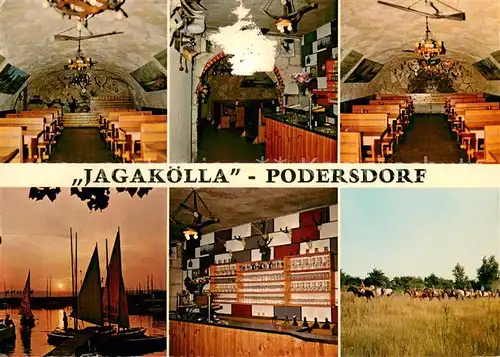 AK / Ansichtskarte Podersdorf_Neusiedler_See_AT Heurigenschenke Jagakoella Bootshafen Theke Pferde 