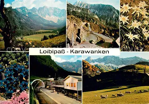 AK / Ansichtskarte Bodental_Kaernten_AT mit Vertatscha Loibltunnel Loiblpass Zell Pferre mit Koschuta 