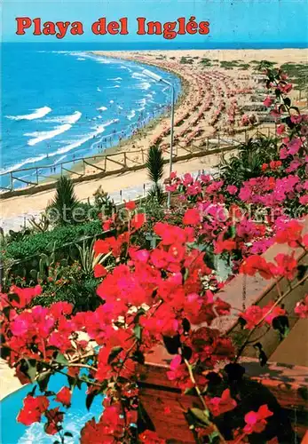 AK / Ansichtskarte Playa_del_Ingles_Gran_Canaria_ES Panorama 