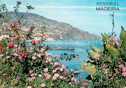 AK / Ansichtskarte Funchal_Madeira_PT Com destaque para a Cals da entrada da Cidade 