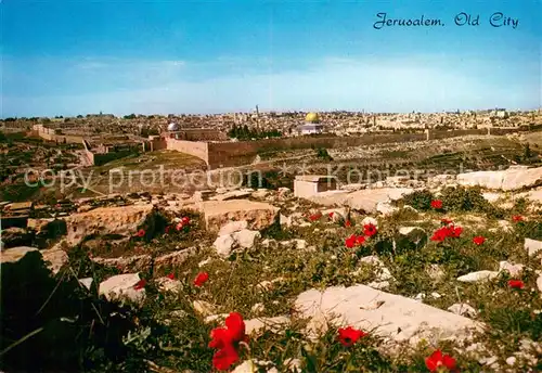AK / Ansichtskarte Jerusalem_Yerushalayim Juedischer Friedhof a. d. oelberg Jerusalem_Yerushalayim