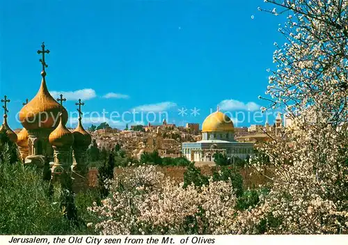 AK / Ansichtskarte Jerusalem_Yerushalayim Alt Jerusalem v. Mt. of Olives gesehen Jerusalem_Yerushalayim