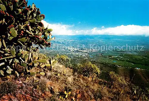 AK / Ansichtskarte La_Palma__Canarias_ES Vista de Los Llanos de Aridane desde El Times 