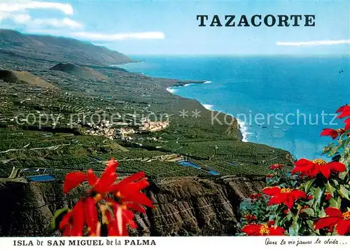 AK / Ansichtskarte San_Miguel_de_La_Palma Tazacorte y Costa San_Miguel_de_La_Palma