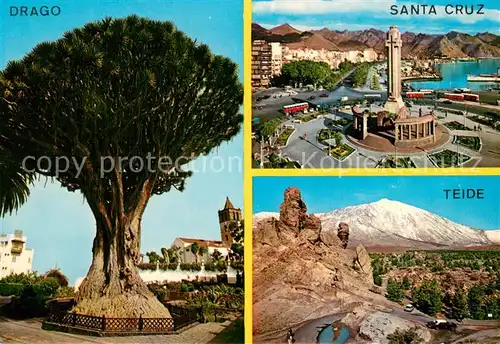 AK / Ansichtskarte Islas_Canarias_ES Drago Santa Cruz Teide 