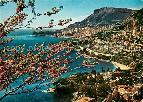 AK / Ansichtskarte Roquebrune_06_Alpes Maritimes Vue vers Beausoleil et la Principaute de Monaco 