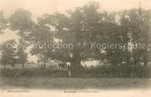 AK / Ansichtskarte La_Loupe_28 Le Gros Chene 
