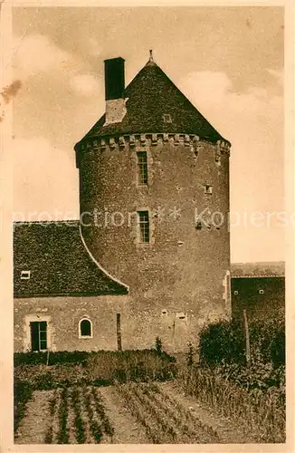 AK / Ansichtskarte Dorceau_61 Tour feodale 