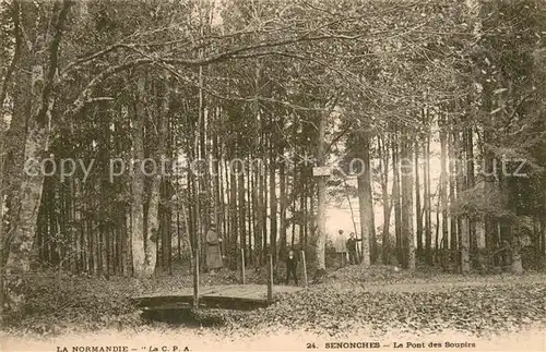 AK / Ansichtskarte Senonches_28 Le Pont des Soupirs 