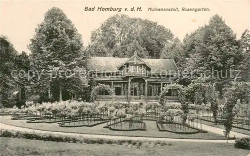 AK / Ansichtskarte Bad_Homburg Molkenanstalt Rosengarten Bad_Homburg