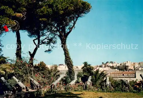 AK / Ansichtskarte Tanger_Tangier_Tangiers Jardin de la Mendoubia Tanger_Tangier_Tangiers