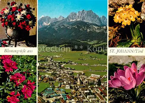 AK / Ansichtskarte St_Johann_Tirol Sommerfrische Erholungsort mit Wildem Kaiser Alpenflora Blumen St_Johann_Tirol