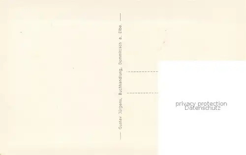 AK / Ansichtskarte Dommitzsch Gesamtbild vom Damm aus Kuenstlerkarte Dommitzsch