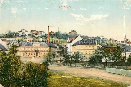 AK / Ansichtskarte Leisnig Ortsansicht Leisnig
