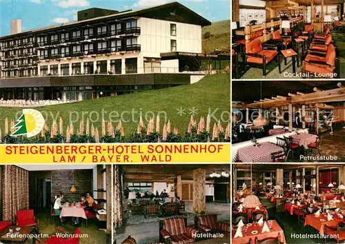 AK / Ansichtskarte Lam_Oberpfalz Steigenberger Hotel Sonnenhof Ferienapartment Hotelhalle Cocktail Lounge Petrusstube Hotelrestaurant Lam_Oberpfalz