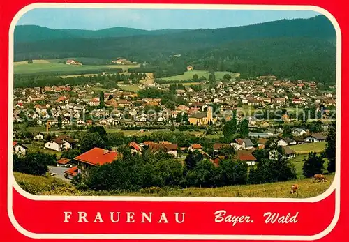 AK / Ansichtskarte Frauenau Fliegeraufnahme Frauenau