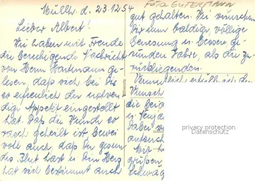 AK / Ansichtskarte Foto_Gutermann Feldberg Foto Gutermann