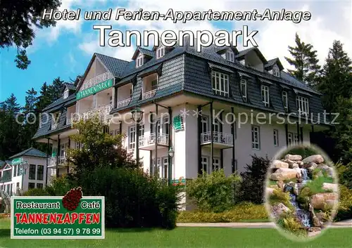 AK / Ansichtskarte Tanne_Harz Hotel und Ferien Appartement Anlage Tannenpar Restaurant Tannenzapfen Tanne_Harz