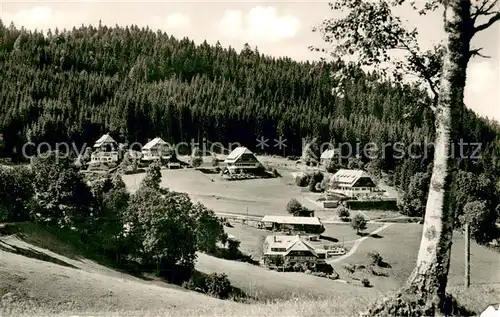 AK / Ansichtskarte Hinterzarten Blick zum Kesslerberg Hoehenluftkurort im Schwarzwald Hinterzarten