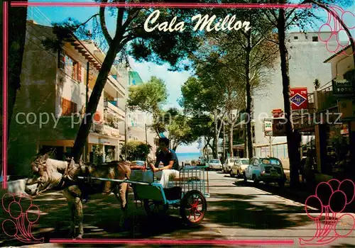 AK / Ansichtskarte Cala_Millor_Mallorca Esel Cala_Millor_Mallorca