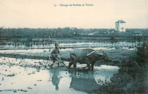 AK / Ansichtskarte Tonkin_Vietnam Hersage de Rizieres 