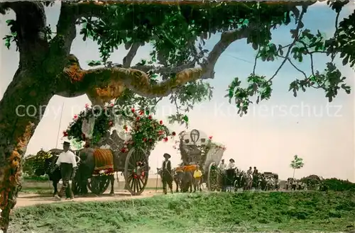 AK / Ansichtskarte Torremolinos_ES Jardines des Axumamien   Ochsen Gespanne u. Kutschen 