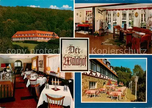 AK / Ansichtskarte Bad_Eilsen Hotel Der Waldhof Gastraum Terrasse Bad_Eilsen