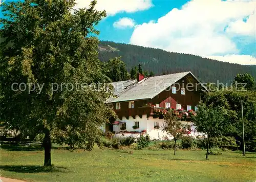 AK / Ansichtskarte Lackenhaeuser_Niederbayern Pension Kempinger Lackenhaeuser Niederbayern
