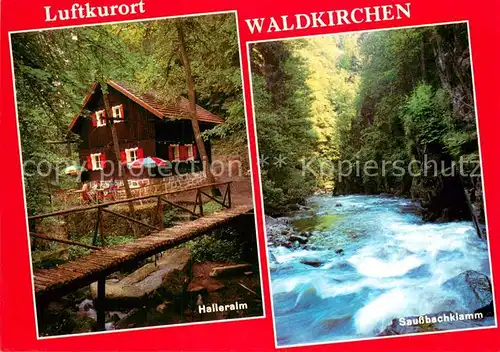 AK / Ansichtskarte Waldkirchen_Niederbayern Saussbachklamm mit Halleralm Waldkirchen Niederbayern