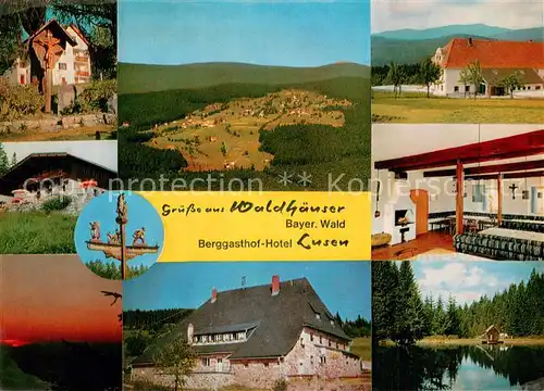 AK / Ansichtskarte Waldhaeuser_Neuschoenau Wegekreuz Hotel Berggasthof Lusen Gastraum Schwanenteich Fliegeraufnahme  Waldhaeuser Neuschoenau