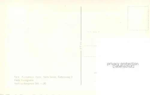 AK / Ansichtskarte Wieck_Darss Wohnhaeuser Schafe Wieck Darss