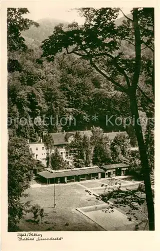 AK / Ansichtskarte Ilfeld_Suedharz Waldhotel Gaenseschnabel Ilfeld Suedharz